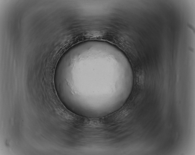 X0000103331393200809121200