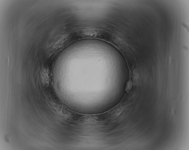 X0000103331394200809121200