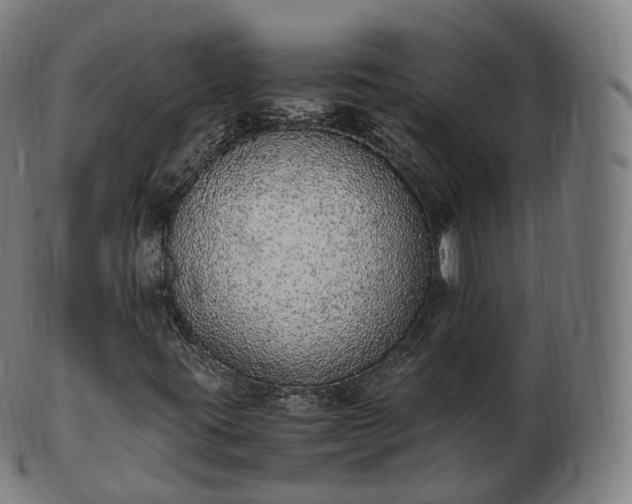 X0000103331395200809121200