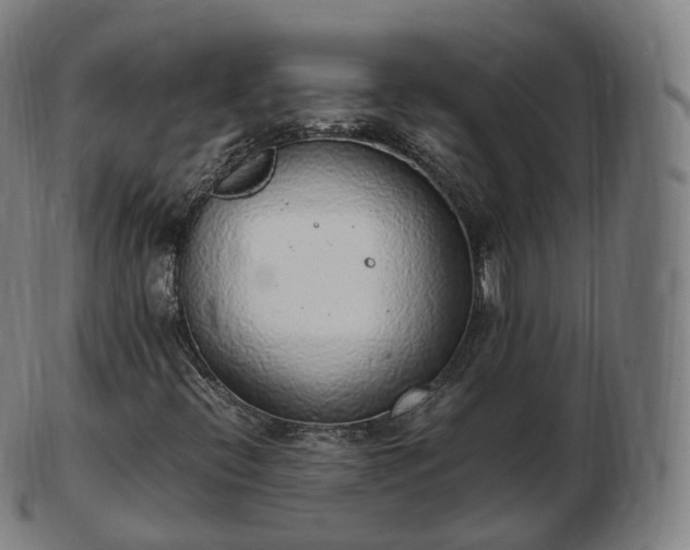 X0000103331396200809121200