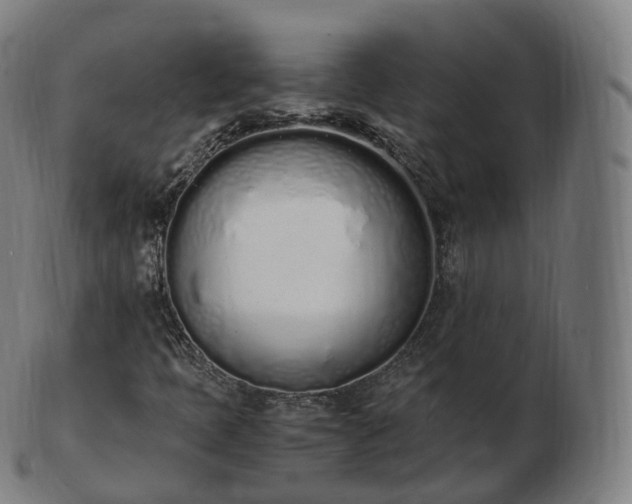 X0000103331397200809121200