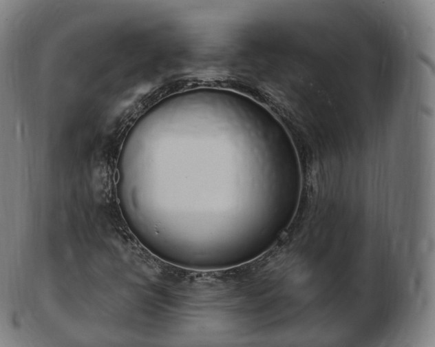 X0000103331398200809121200