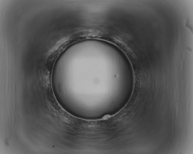 X0000103331399200809121200