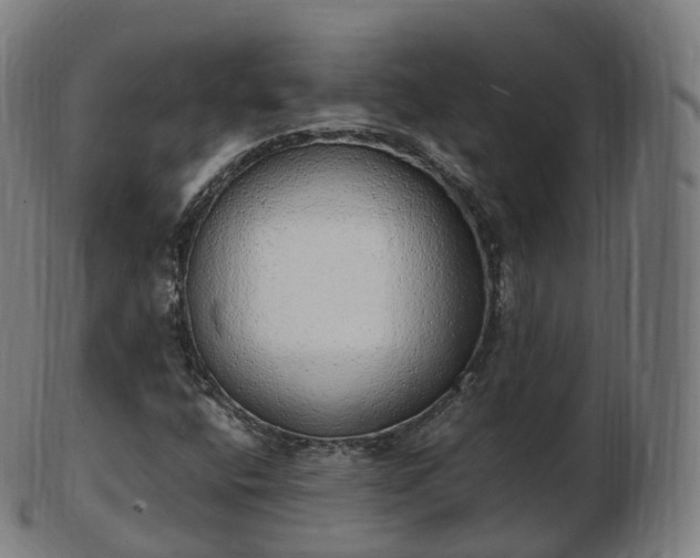 X0000103331400200809121200