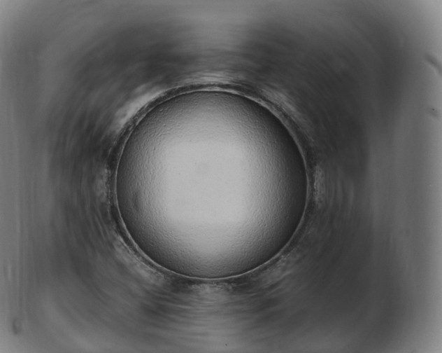 X0000103331404200809121200