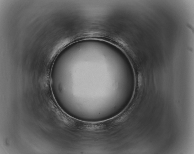 X0000103331405200809121200