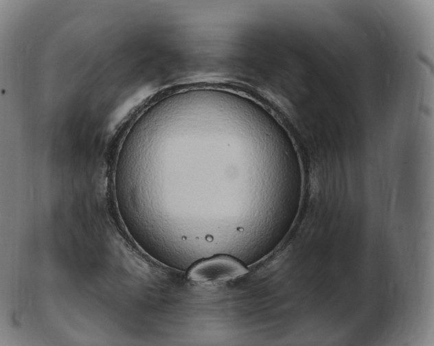 X0000103331406200809121200