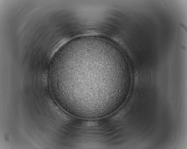 X0000103331409200809121200