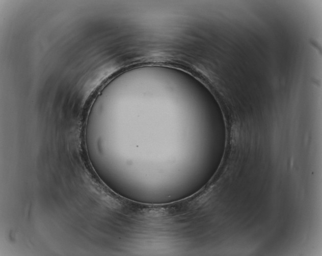 X0000103331410200809121200