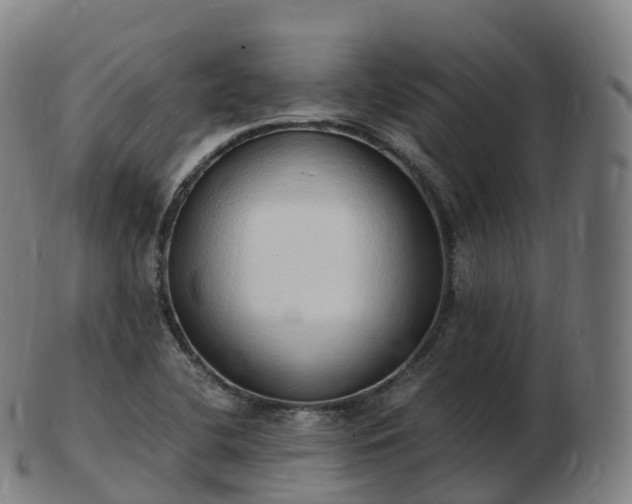 X0000103331412200809121200