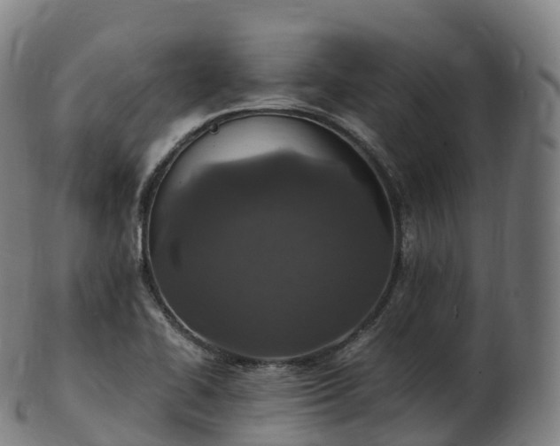 X0000103331414200809121200