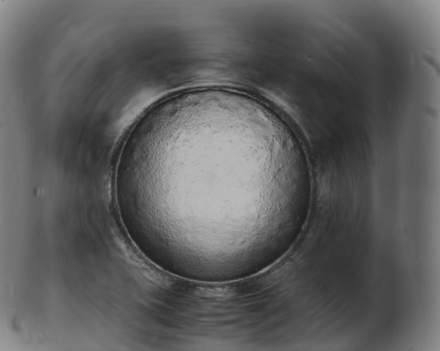 X0000103331415200809121200