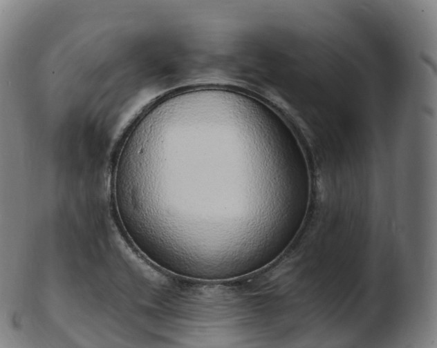 X0000103331416200809121200