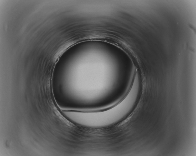 X0000103331417200809121200