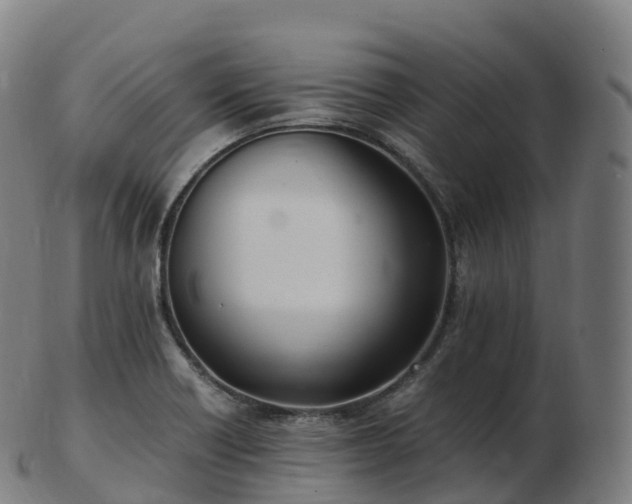 X0000103331418200809121200