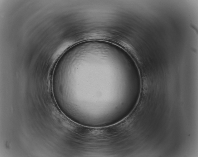 X0000103331419200809121200