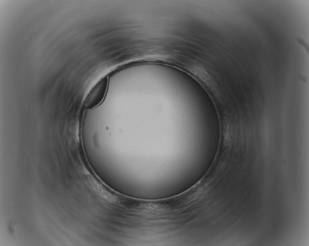 X0000103331420200809121200