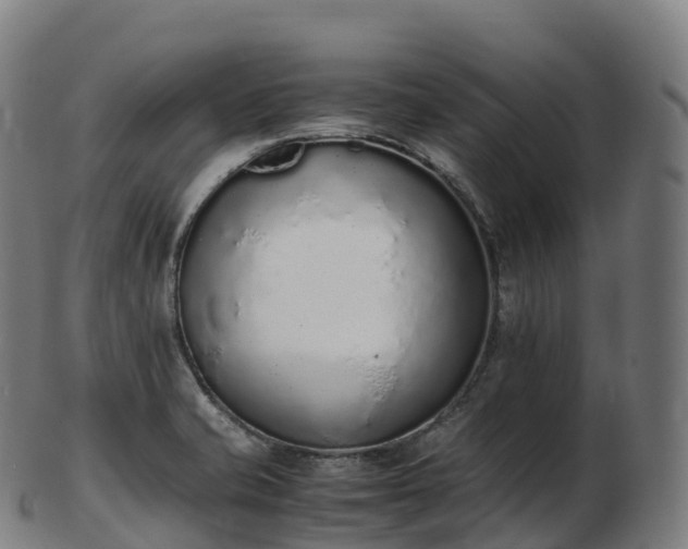 X0000103331421200809121200