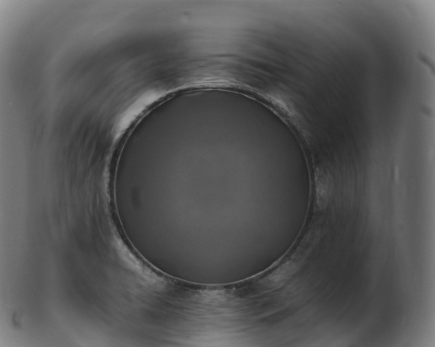 X0000103331422200809121200