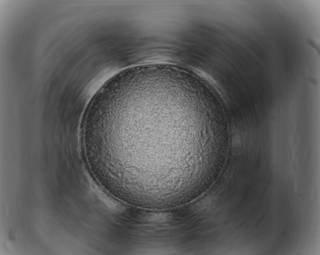 X0000103331423200809121200