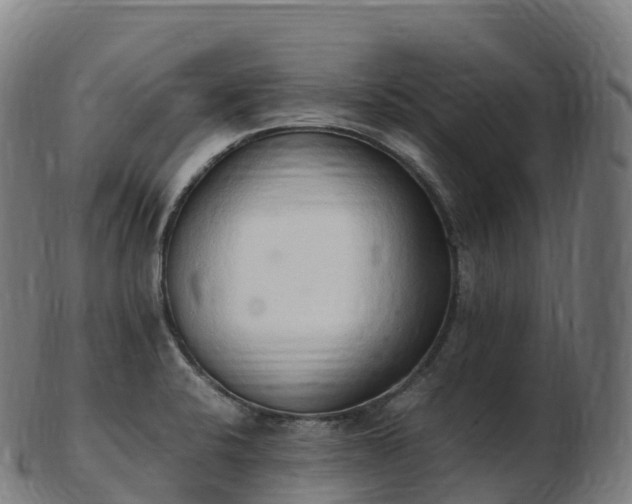 X0000103331424200809121200