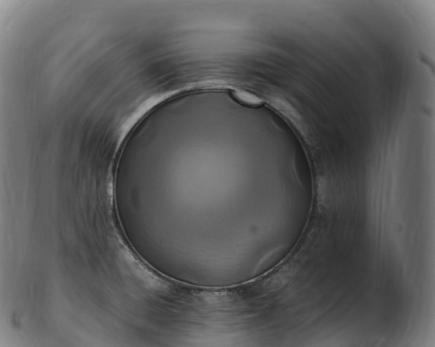 X0000103331428200809121200