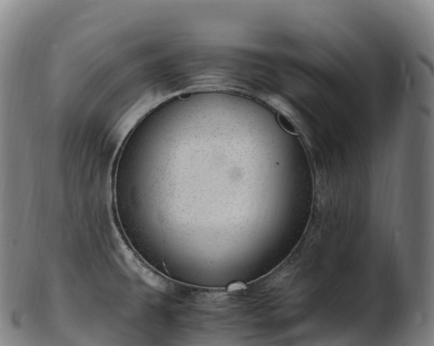 X0000103331431200809121200