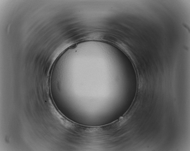 X0000103331434200809121200