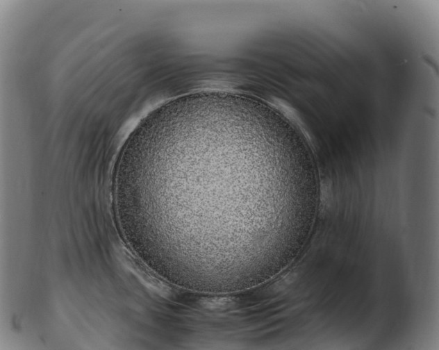 X0000103331435200809121200