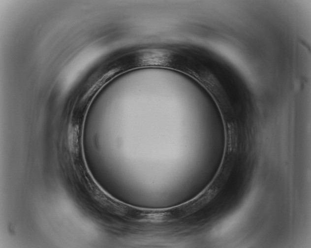 X0000103331438200809121200