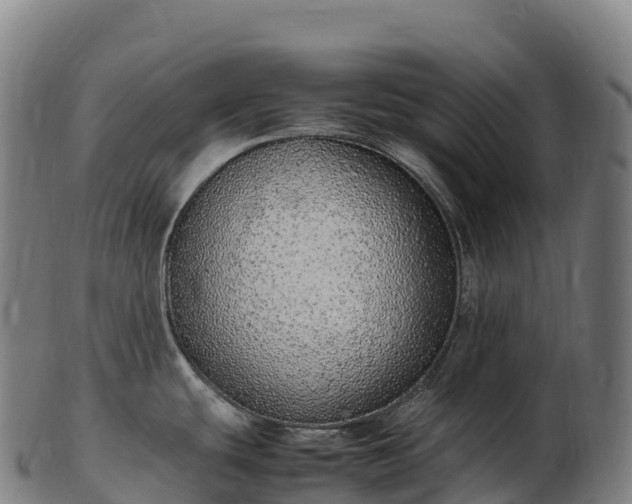 X0000103331439200809121200