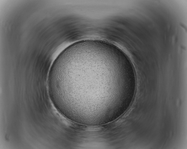 X0000103331440200809121200