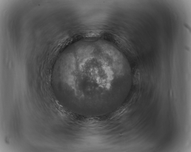 X0000103331441200809121200