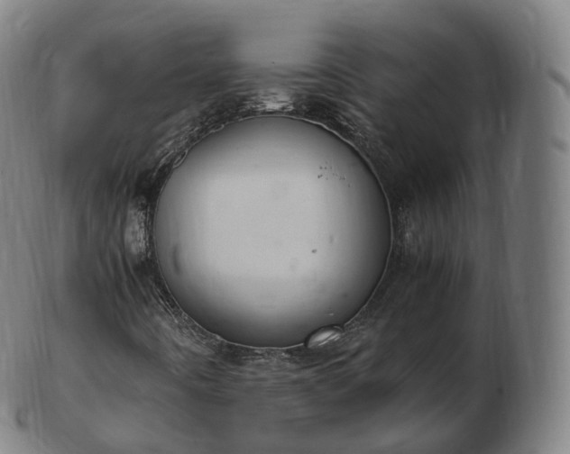 X0000103331442200809121200