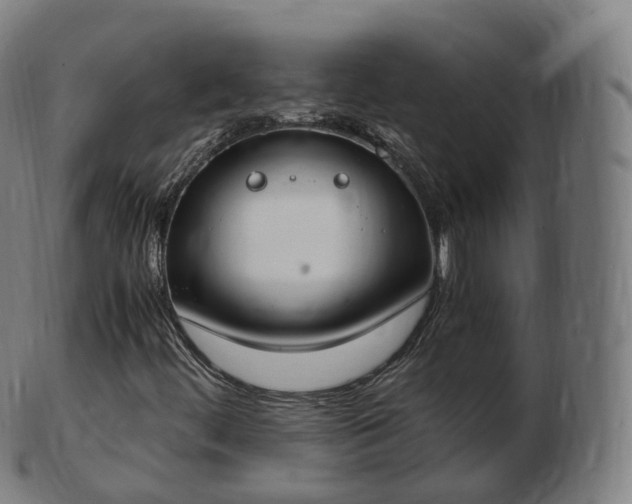 X0000103331444200809121200