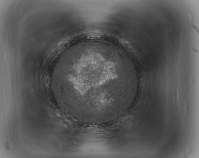 X0000103331445200809121200