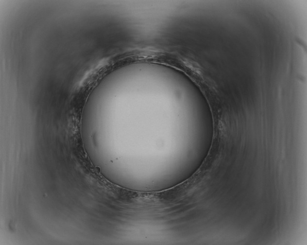 X0000103331447200809121200