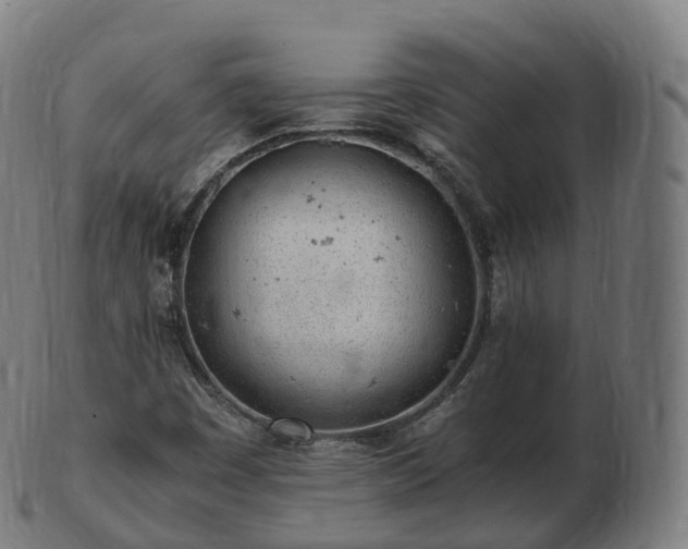 X0000103331449200809121200