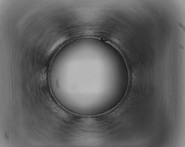 X0000103331450200809121200