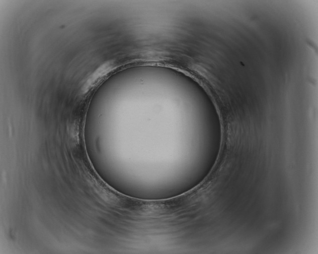 X0000103331451200809121200