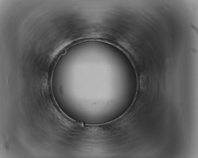 X0000103331452200809121200