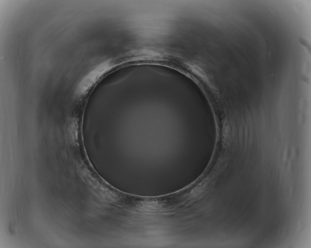 X0000103331455200809121159