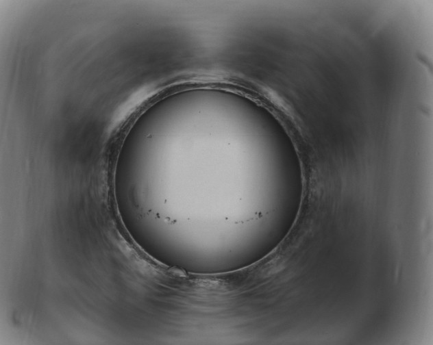 X0000103331456200809121159