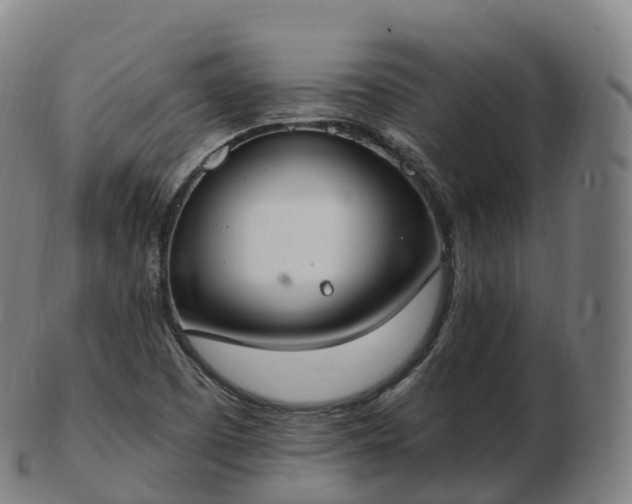 X0000103331457200809121159