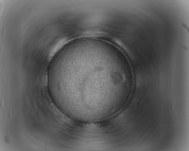 X0000103331459200809121159