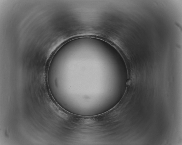 X0000103331460200809121159