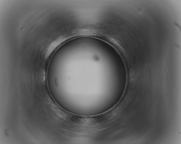 X0000103331461200809121159