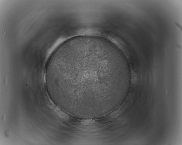 X0000103331462200809121159