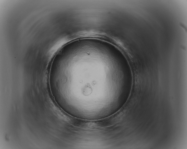 X0000103331463200809121159