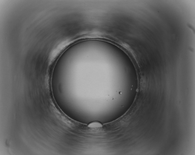 X0000103331464200809121159